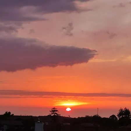 Pura Vida Bayonne